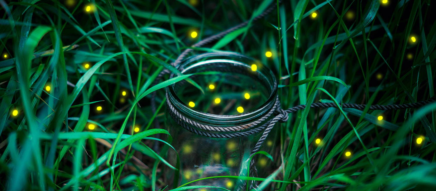 Technology – Firefly Magic