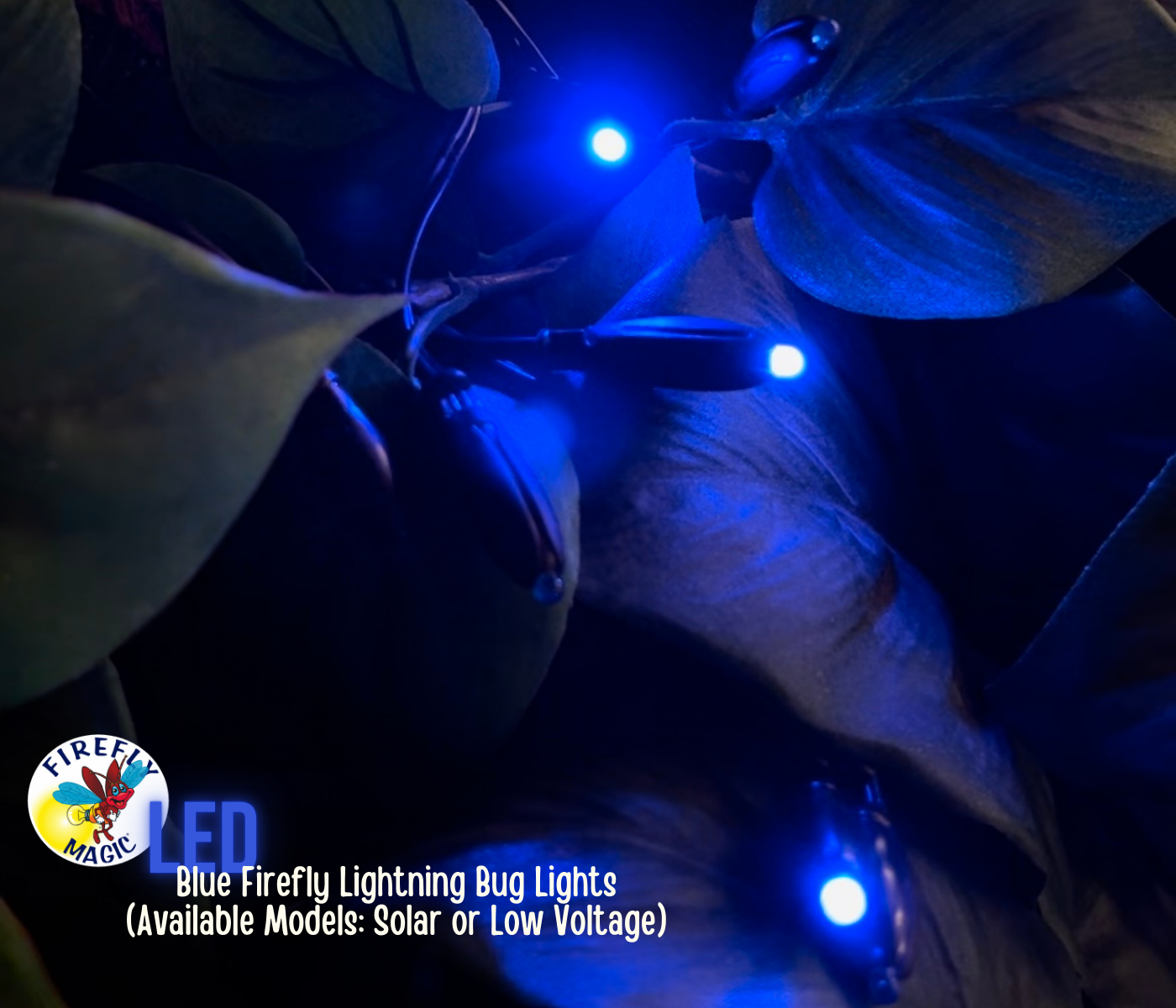 Low Voltage LED Fairy Lights | Firefly Outdoor Indoor Lights | Firefly ...