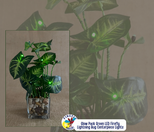 Battery Operated LED Fairy Lights | Firefly Indoor Lights