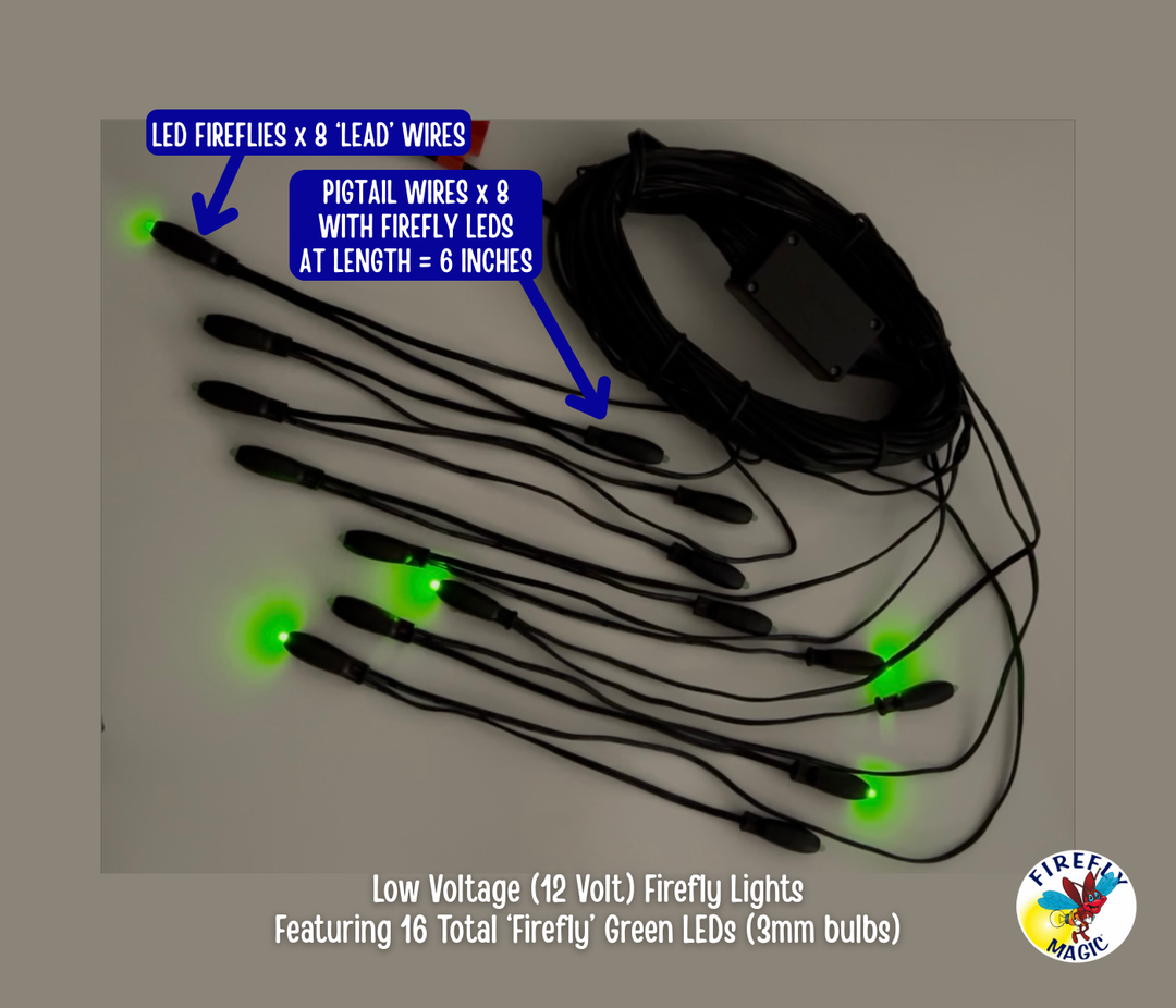 NEW - Low Voltage (12 Volt) Fireflies - 16 LEDs (3mm) – Firefly Magic