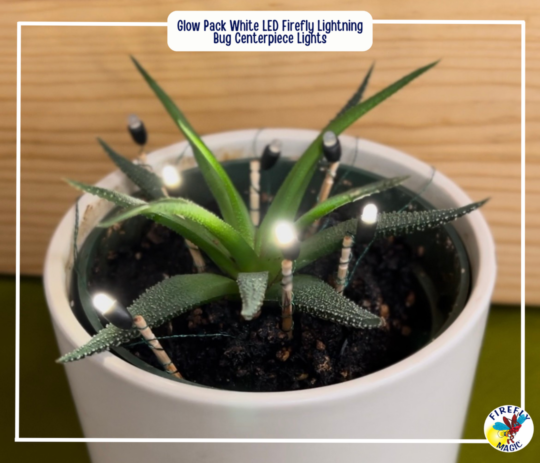 Battery Operated LED Fairy Lights | Firefly Indoor Lights