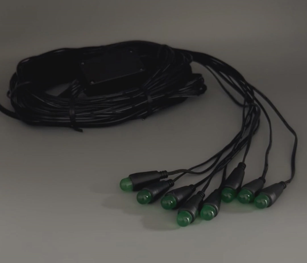 Low Voltage (12 Volt) Fireflies - 10mm LEDs - Bundled (2