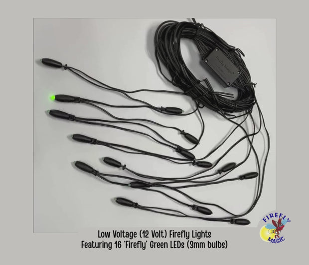 NEW - Low Voltage (12 Volt) Fireflies - 16 LEDs (3mm) – Firefly Magic